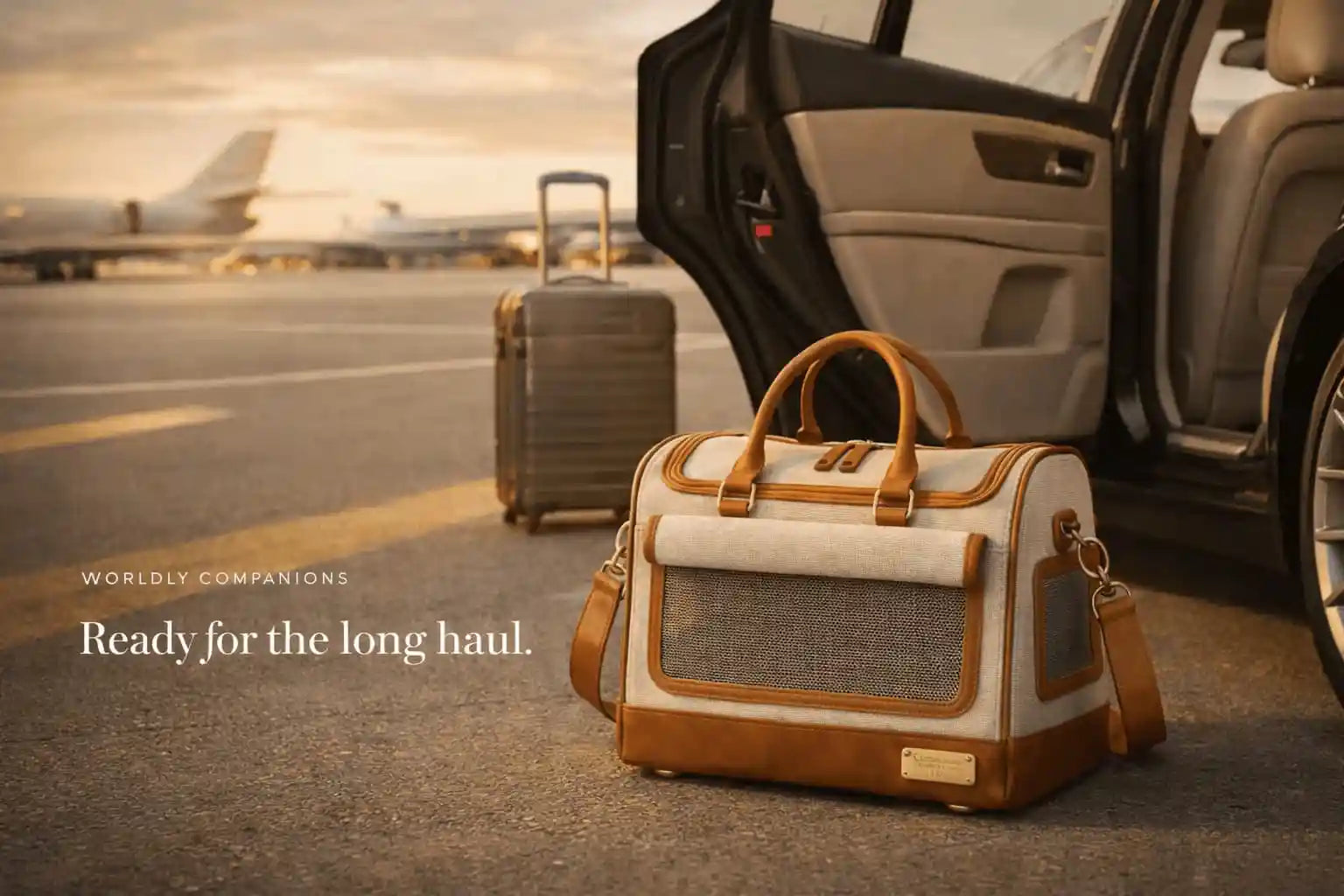 Ashbera luxury dog and cat carrier on airport tarmac beside private car — structured cabin bag for travel